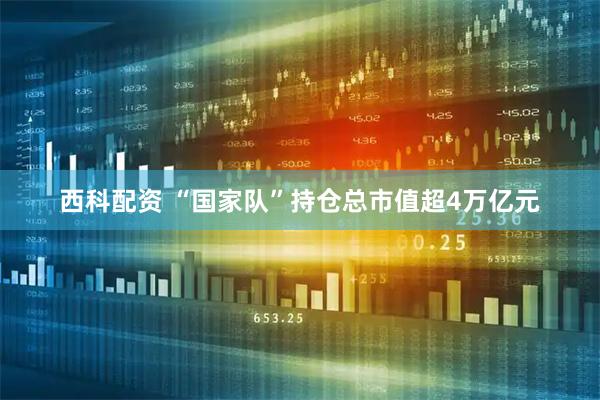 西科配资 “国家队”持仓总市值超4万亿元