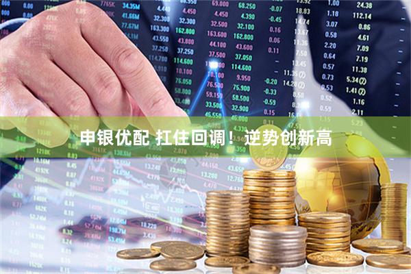 申银优配 扛住回调！逆势创新高